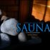 The Best Sauna Books Reviewed