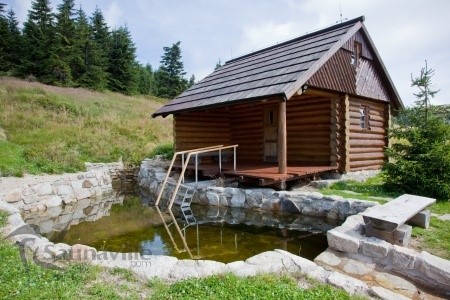 Outdoor Sauna With Pool