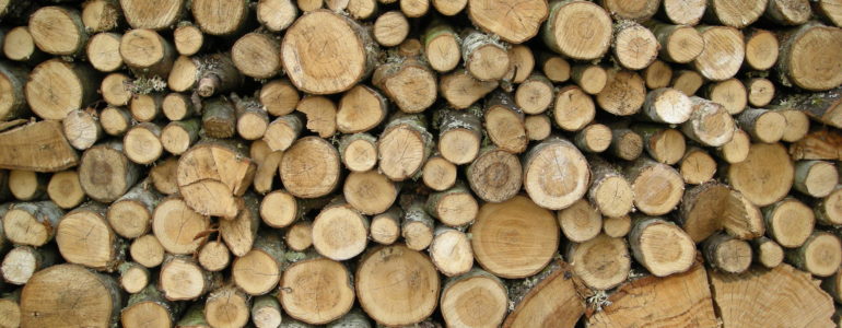 Best Wood For A Sauna