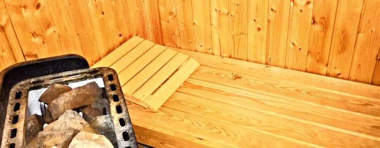 Best Mini Sauna Heaters Reviewed 2023